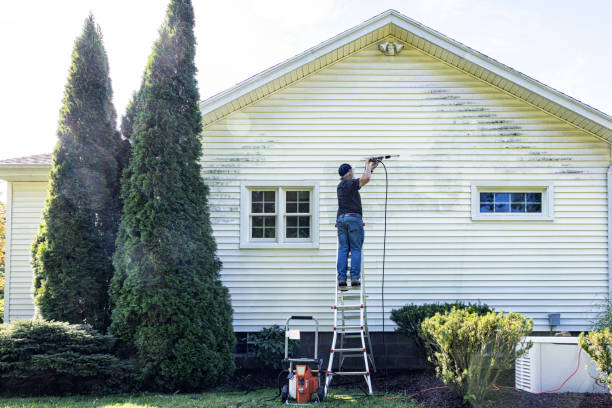 Best Affordable Power Washing  in Woodland Heights, PA
